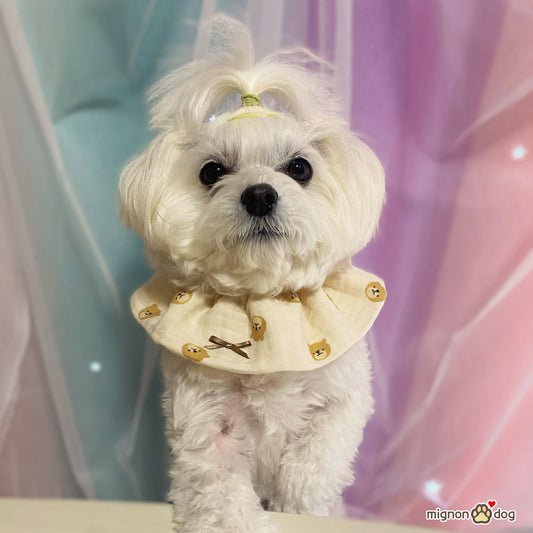 犬用スタイ|くまさん柄の吸水性・通気性に優れた韓国直仕入トリプルガーゼ
