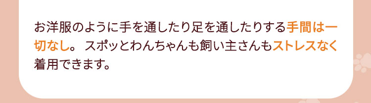 わんちゃん専用スタイおすすめの理由01