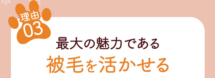 わんちゃん専用スタイおすすめの理由03