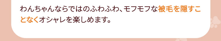 わんちゃん専用スタイおすすめの理由03