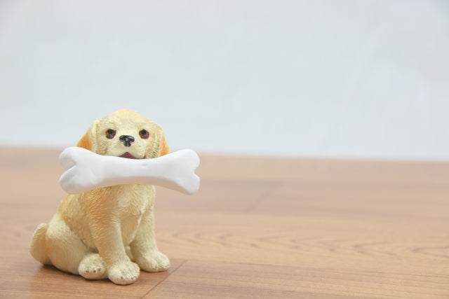 犬のかかりやすい病気ガイド～骨・関節～