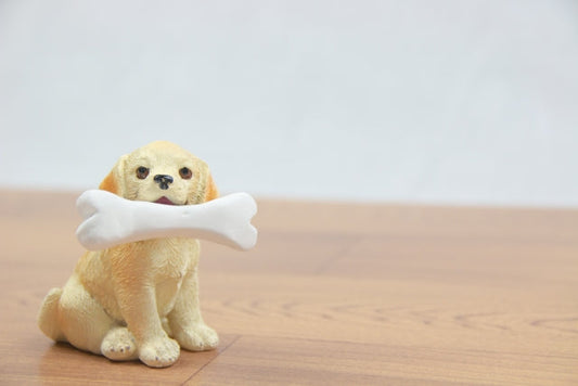 犬のかかりやすい病気ガイド～骨・関節～