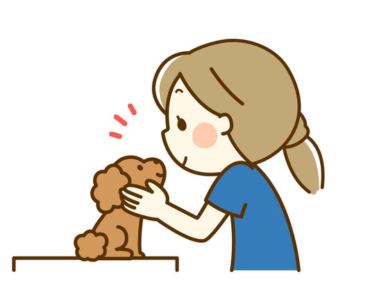 愛犬の健康を守るためにおさえておきたいポイント
