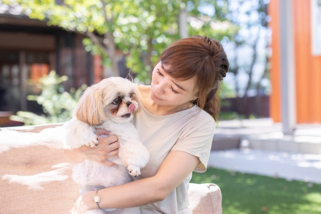 飼い主さん大好き！犬の愛情表現と愛犬への愛情お返し方法