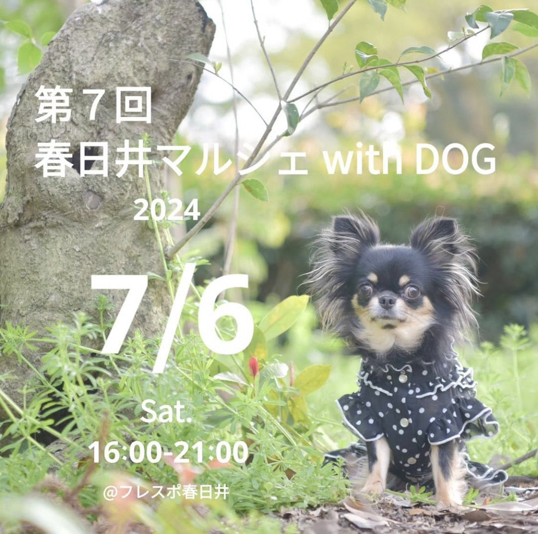 春日井マルシェwith DOG