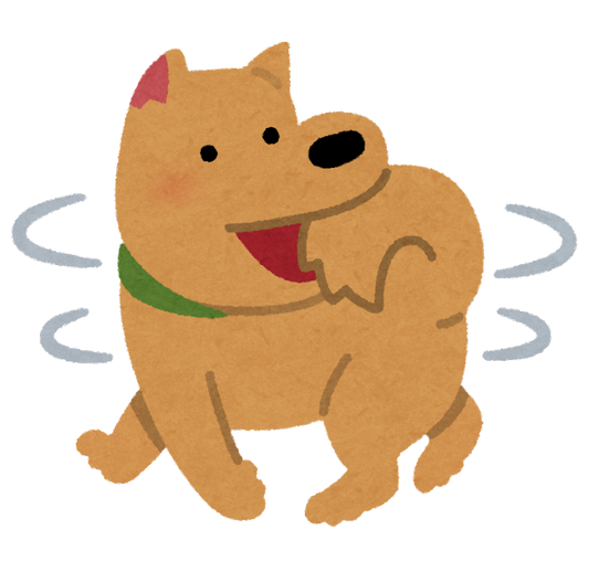 犬の芸の種類10選！教え始めるタイミングと方法【スピン】