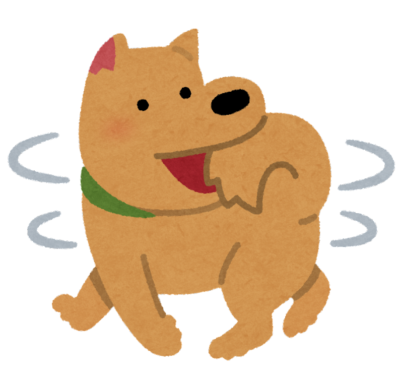 犬の芸の種類10選！教え始めるタイミングと方法【スピン】