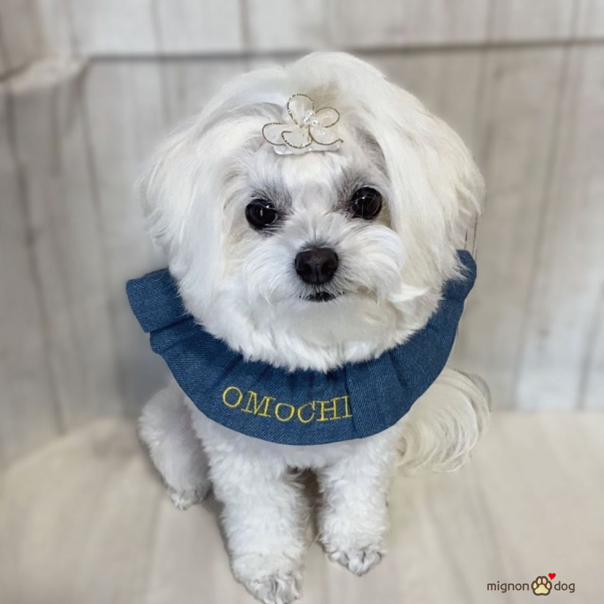 犬用名入りスタイ｜デニムルックガーゼの刺繍カスタム リンクコーデ 小型犬 中型犬