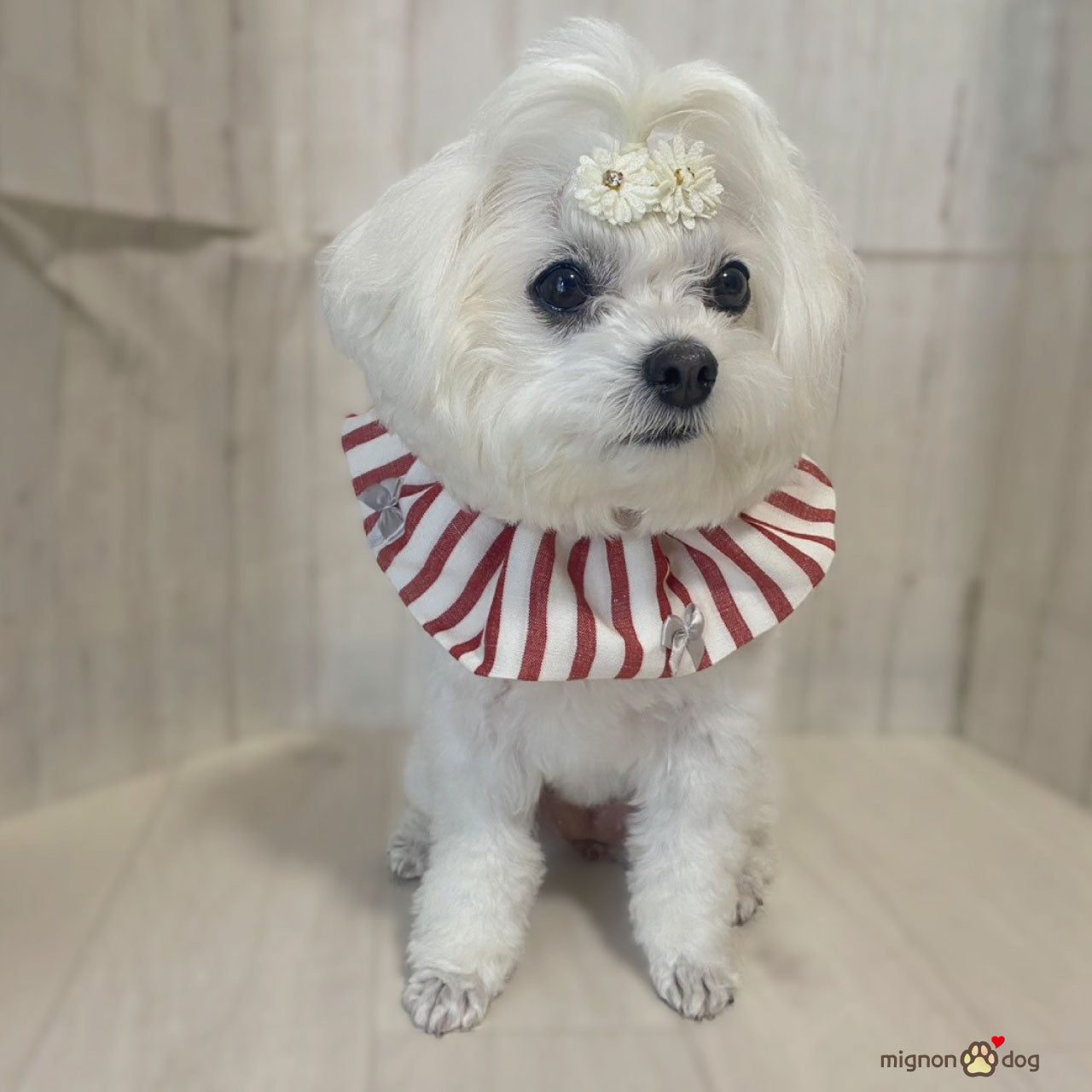 犬用スタイ｜リネン生地でサラッと快適！リボンがかわいいストライプ柄 よだれかけ 小型犬