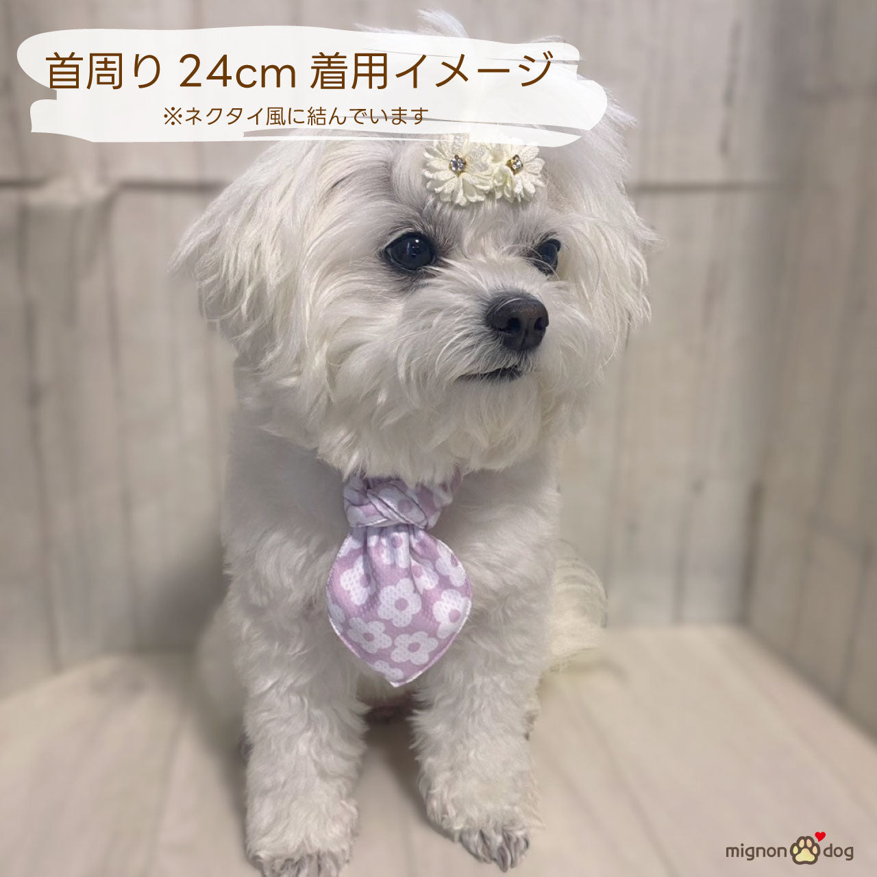 犬用クールバンダナ 保冷剤付き｜冷感生地でひんやり！かわいく熱中症対策 小型犬