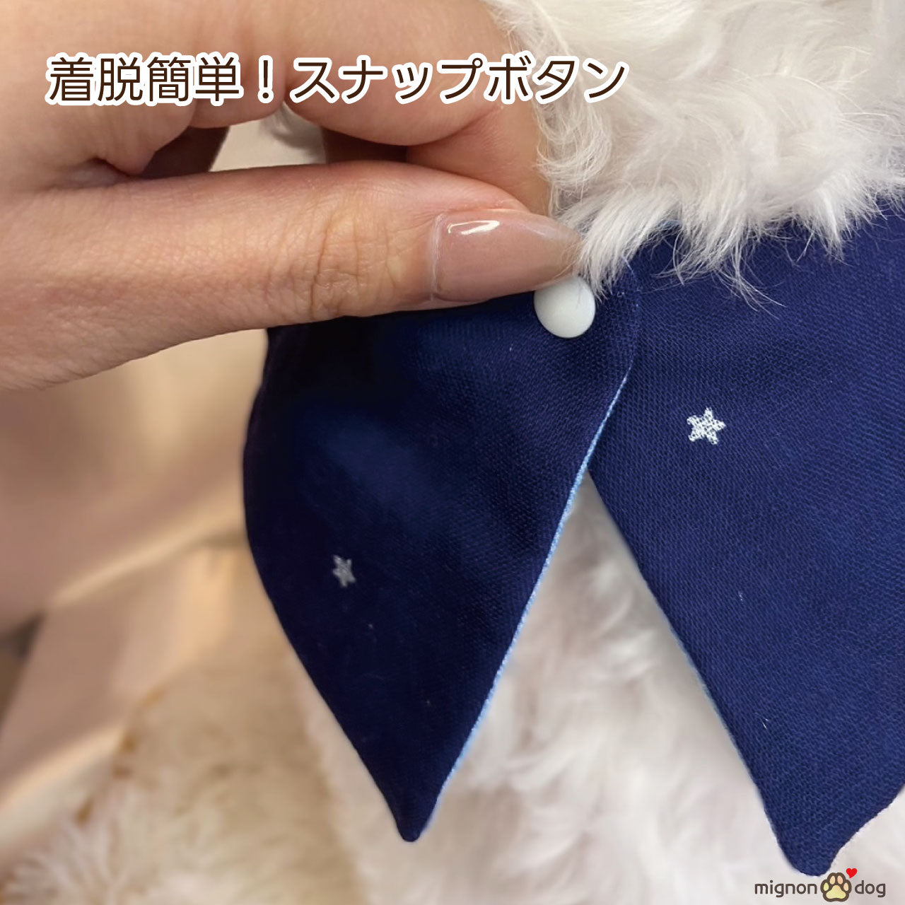 犬用名入りセーラースタイ｜デニムルックガーゼ ライトブルー 刺繍カスタム 小型犬 中型犬