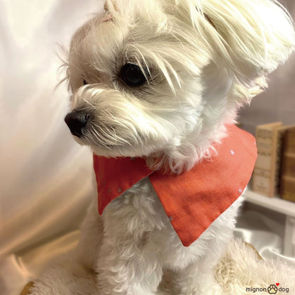 犬用名入りセーラースタイ｜デニムルックガーゼ ライトブルー 刺繍カスタム 小型犬 中型犬