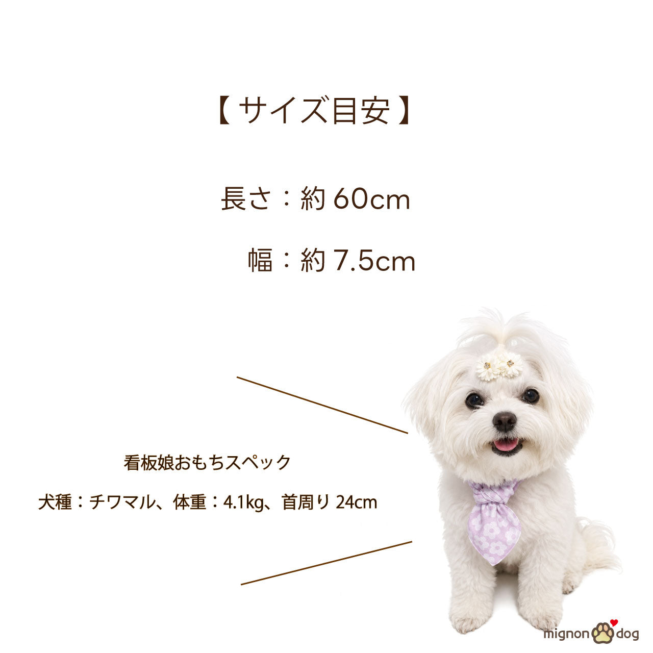 犬用クールバンダナ 保冷剤付き｜冷感生地でひんやり！かわいく熱中症対策 小型犬