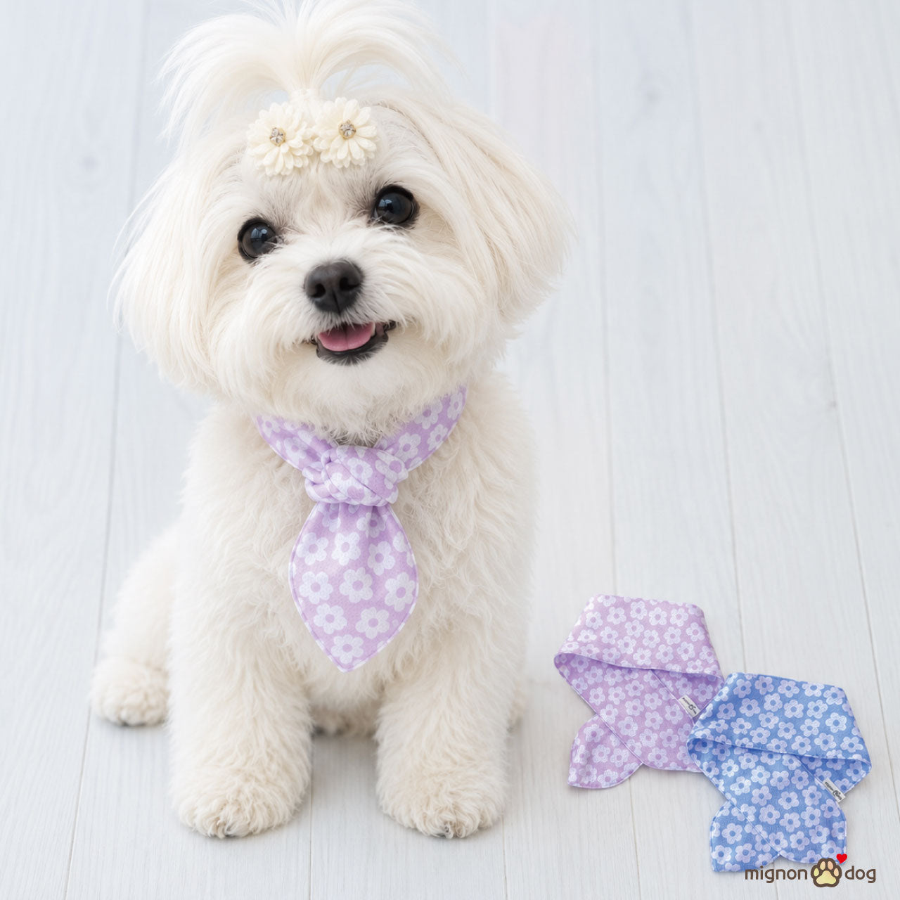 犬用スタイ｜ パピーからシニア犬まで安心の厳選素材を使用した