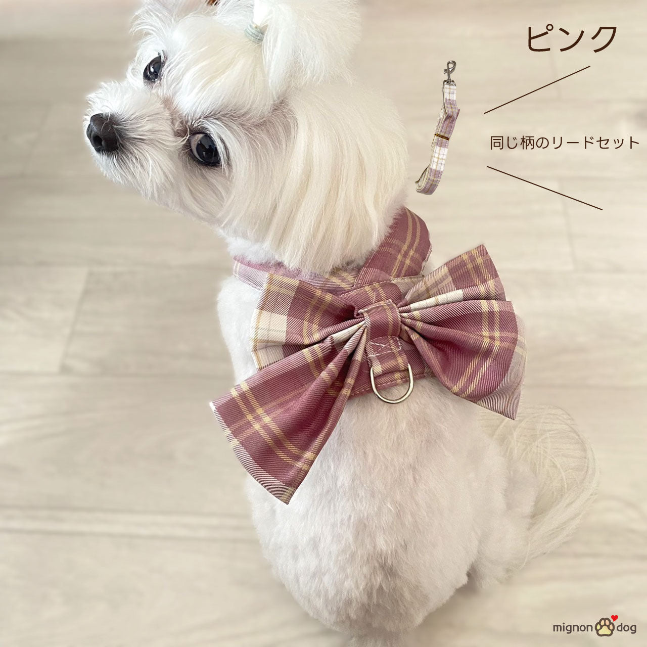 小型犬 リボンハーネス リードセット かわいい 抜けにくい 軽い｜お洋服いらずでお散歩コーデ完成