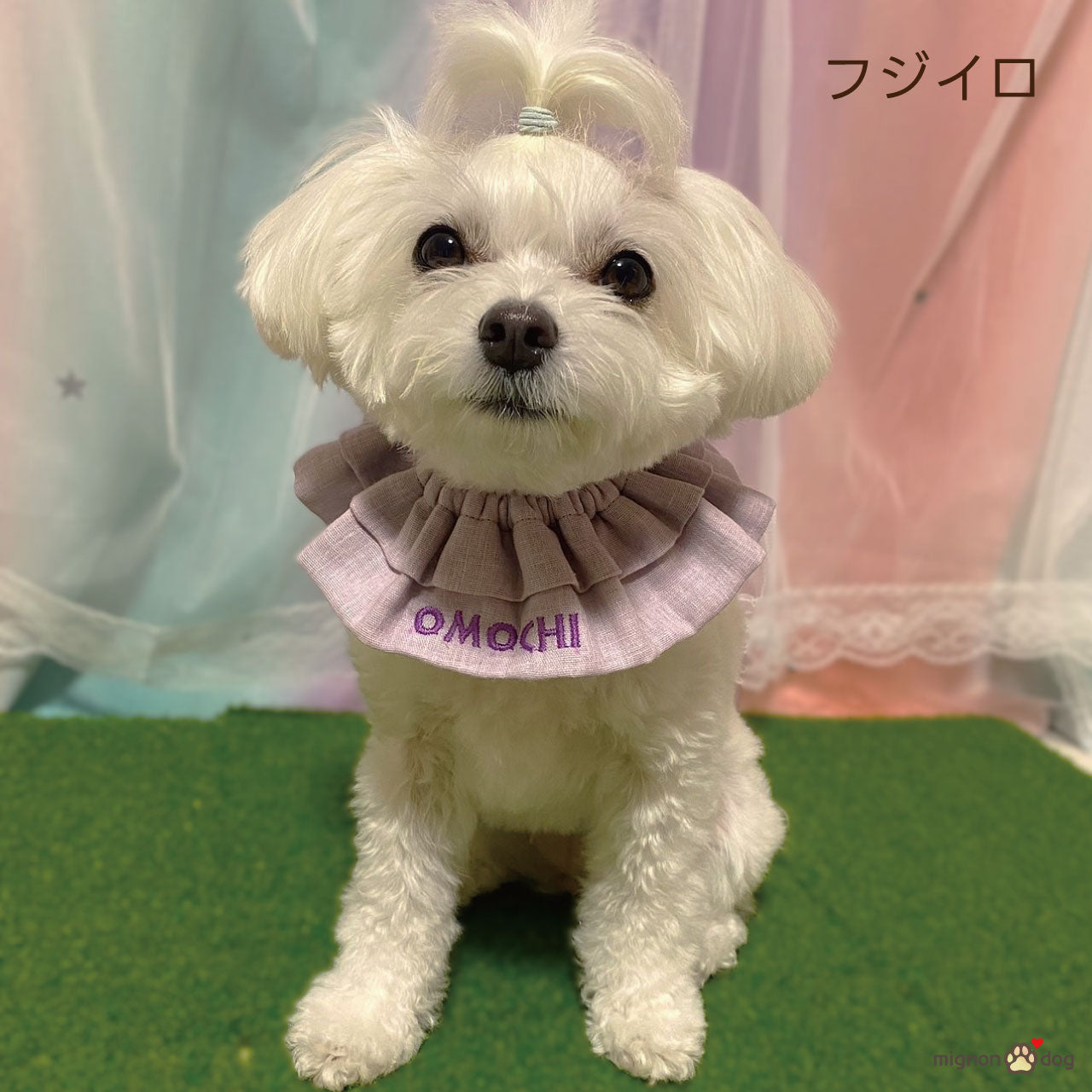 【犬用名入れスタイ】シフォンガーゼの刺繍ネームカスタムスタイ｜セミオーダー 小型犬 中型犬