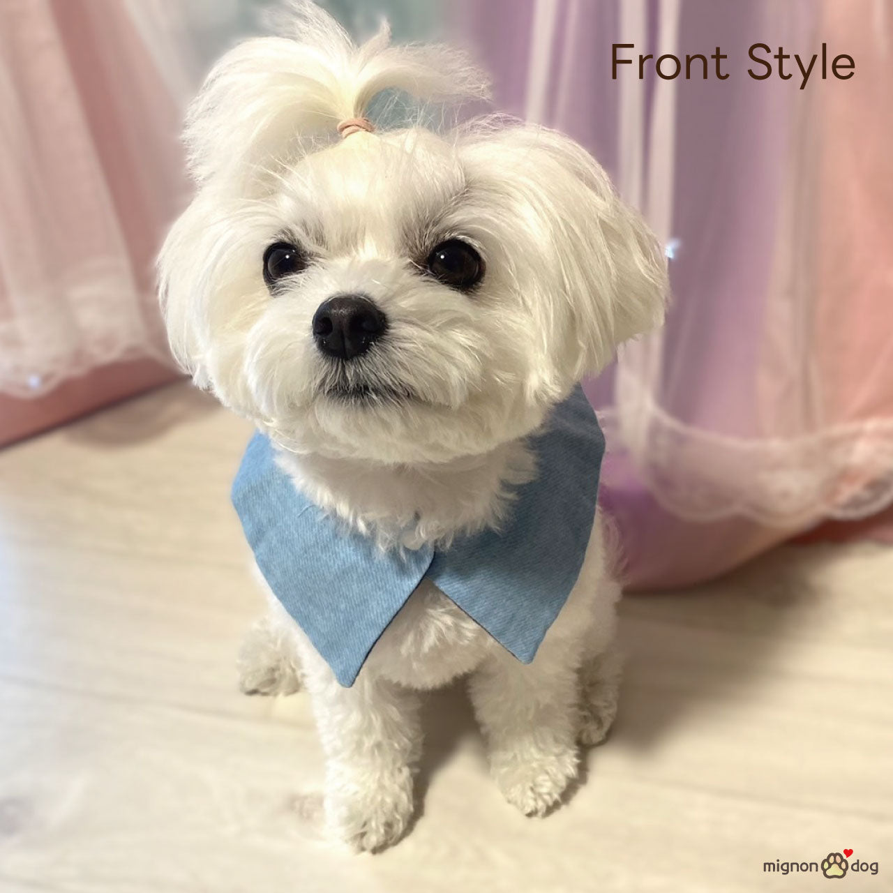 犬用名入りセーラースタイ｜デニムルックガーゼ ライトブルー 刺繍カスタム 小型犬 中型犬