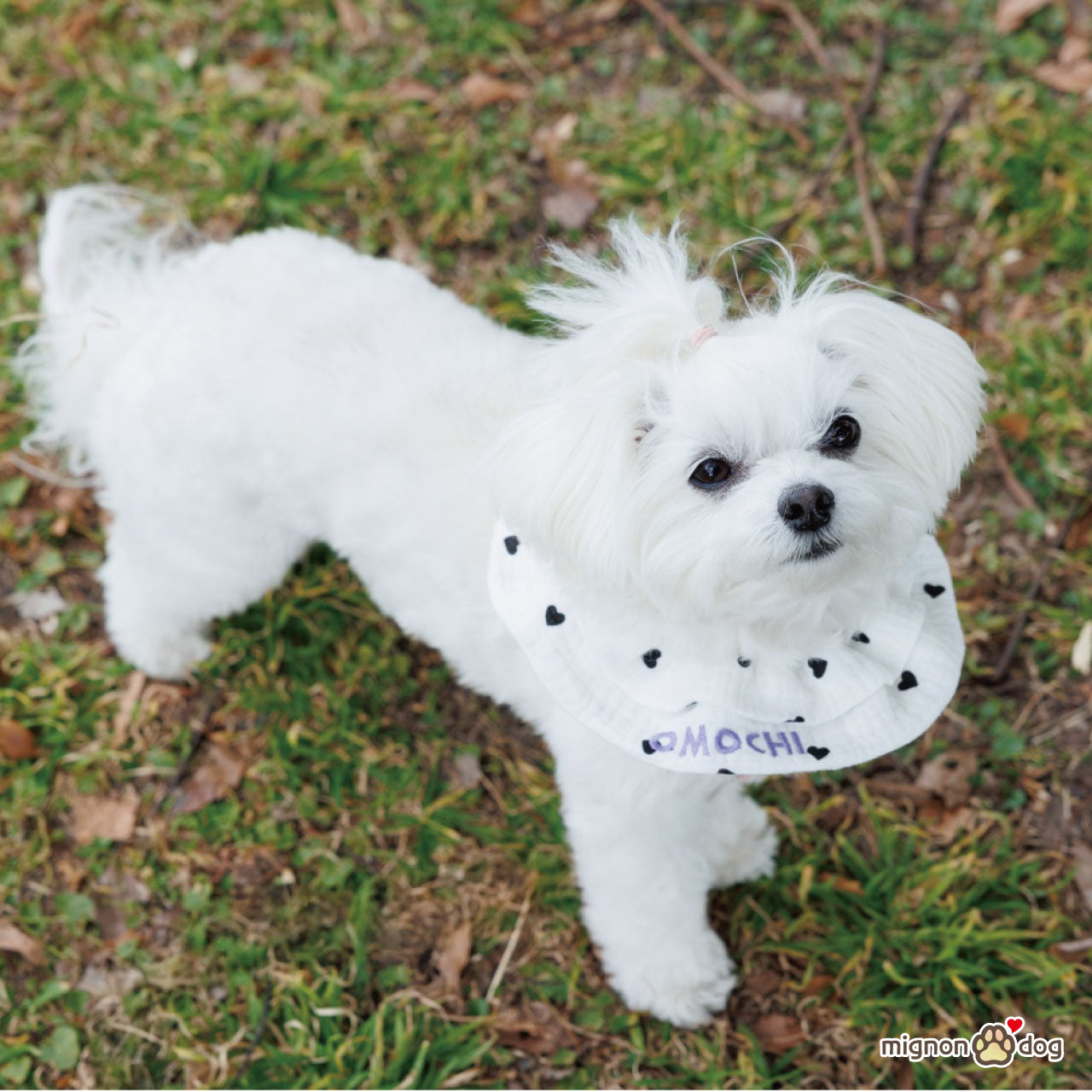 犬用名入りスタイ｜ハート柄ダブルガーゼ刺繍カスタム セミオーダー 小型犬 中型犬