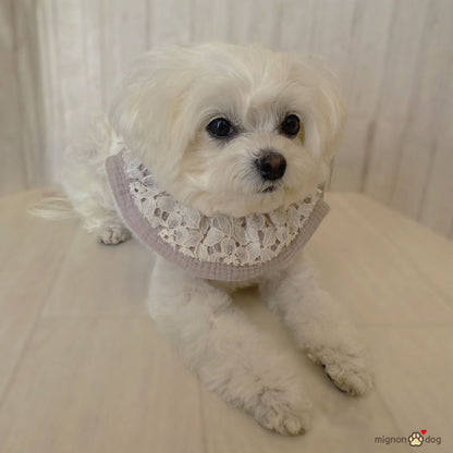 犬用スタイ｜レース×ダブルガーゼ生地 パピーからシニア犬まで快適かわいい
