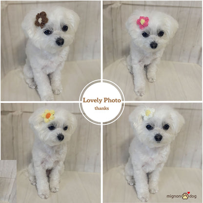 犬用ヘアピン選べる2点セット｜付けやすくて取れにくい！トップノット 短毛 どちらもOK！ヘアアクセサリー
