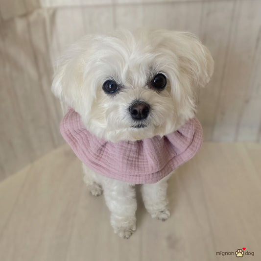 犬用スタイ｜ぽこぽこダブルガーゼ生地 ナチュラルかわいい パピーからシニア犬まで快適