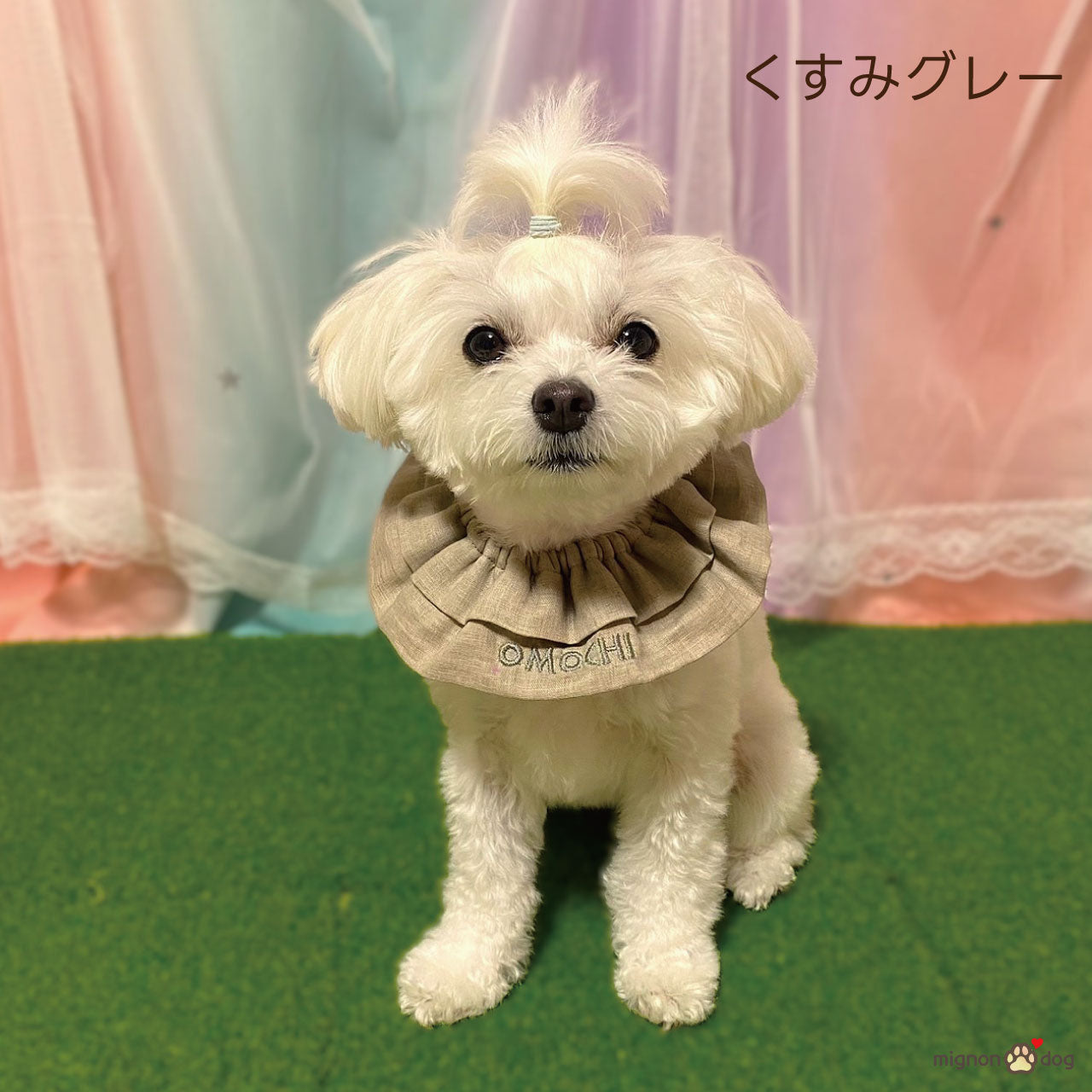 【犬用名入れスタイ】シフォンガーゼの刺繍ネームカスタムスタイ｜セミオーダー 小型犬 中型犬