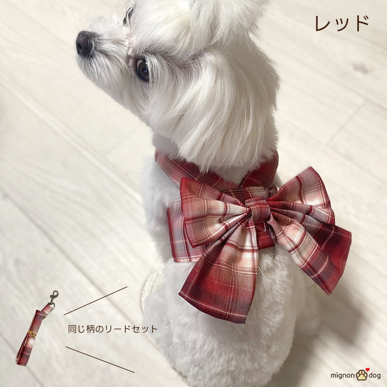 小型犬 リボンハーネス リードセット かわいい 抜けにくい 軽い｜お洋服いらずでお散歩コーデ完成