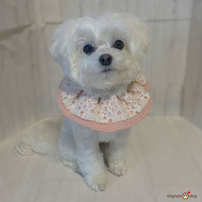 犬用スタイ｜レース×ダブルガーゼ生地 パピーからシニア犬まで快適かわいい