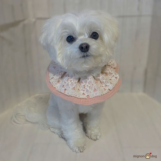 犬用スタイ｜レース×ダブルガーゼ生地 パピーからシニア犬まで快適かわいい