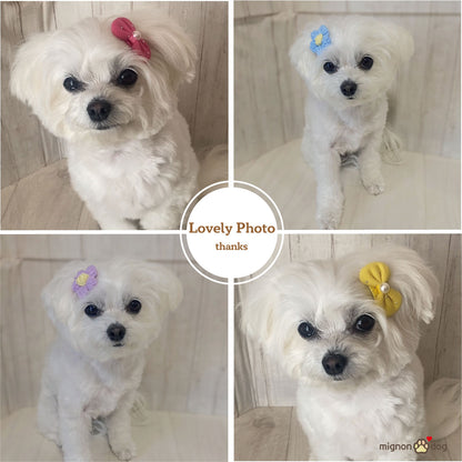 犬用ヘアピン選べる2点セット｜付けやすくて取れにくい！トップノット 短毛 どちらもOK！ヘアアクセサリー