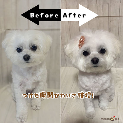 犬用ヘアピン選べる2点セット｜付けやすくて取れにくい！トップノット 短毛 どちらもOK！ヘアアクセサリー