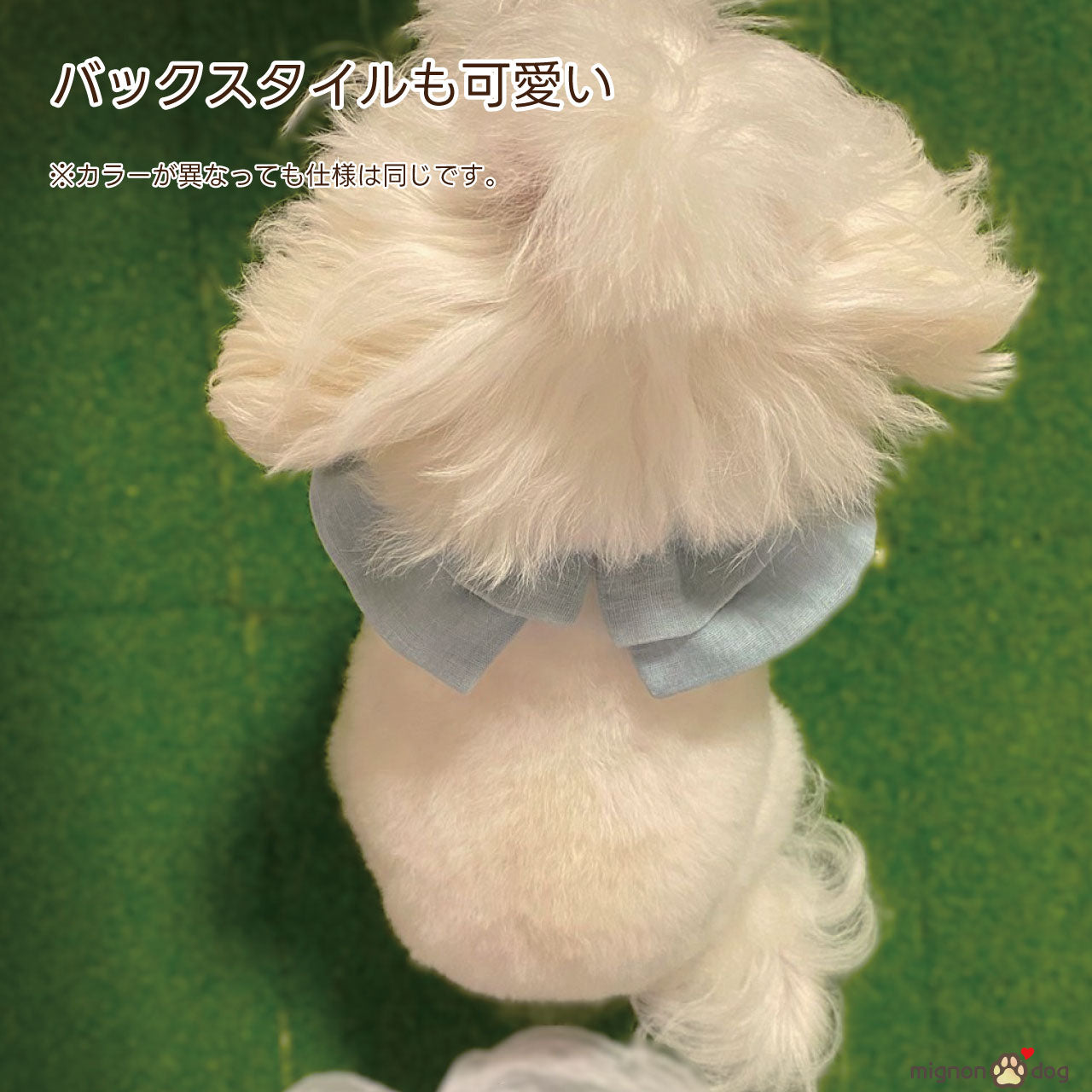 【犬用名入れスタイ】シフォンガーゼの刺繍ネームカスタムスタイ｜セミオーダー 小型犬 中型犬