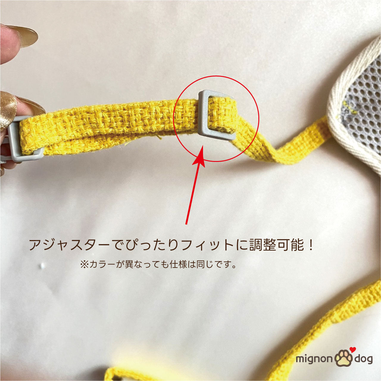 小型犬 くまさん ハーネス リードセット かわいい | ぴったりサイズに調整可能