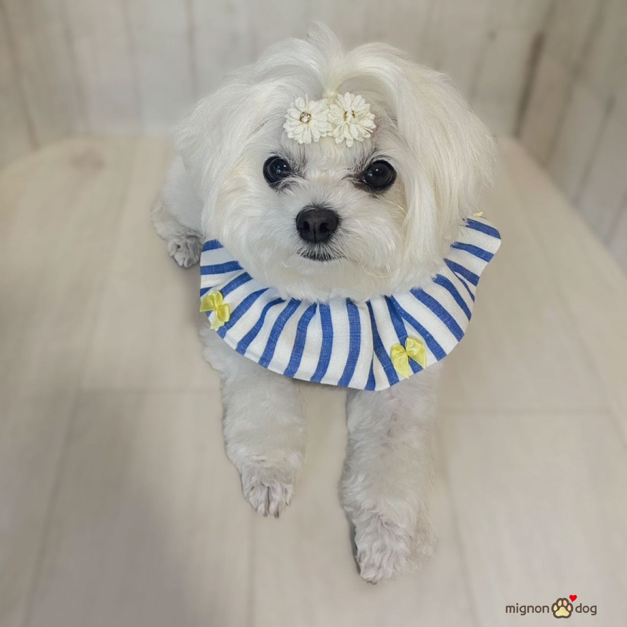 犬用スタイ｜リネン生地でサラッと快適！リボンがかわいいストライプ柄 よだれかけ 小型犬