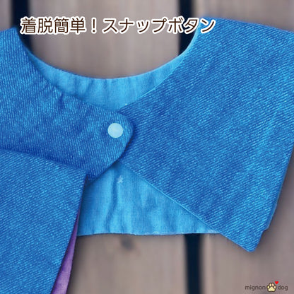犬用名入りセーラースタイ｜デニムルックガーゼ ブルー 刺繍カスタム 小型犬 中型犬