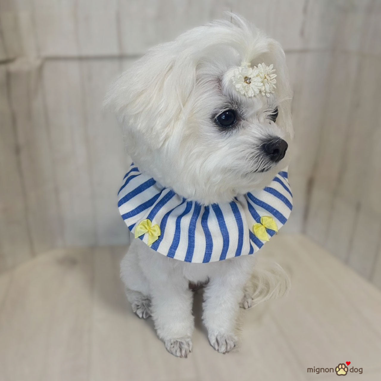 犬用スタイ｜リネン生地でサラッと快適！リボンがかわいいストライプ柄 よだれかけ 小型犬