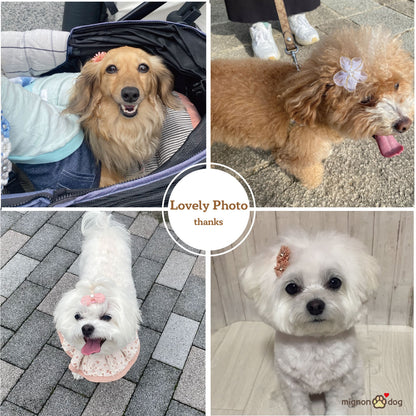 犬用ヘアピン選べる2点セット｜付けやすくて取れにくい！トップノット 短毛 どちらもOK！ヘアアクセサリー