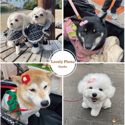 犬用ヘアピン選べる2点セット｜付けやすくて取れにくい！トップノット 短毛 どちらもOK！ヘアアクセサリー
