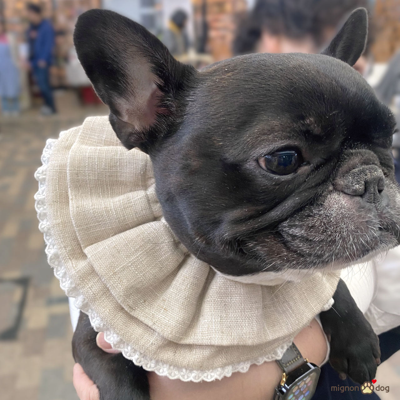 犬用スタイ｜吸水性・通気性に優れたリネン素材でナチュラルかわいい 小型犬