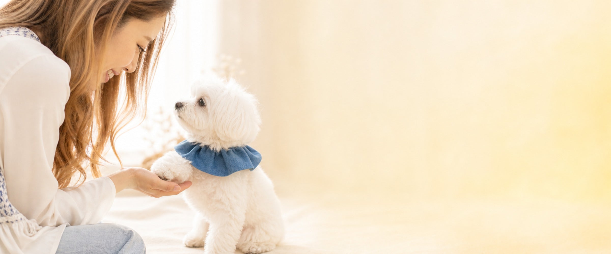 mignon dog