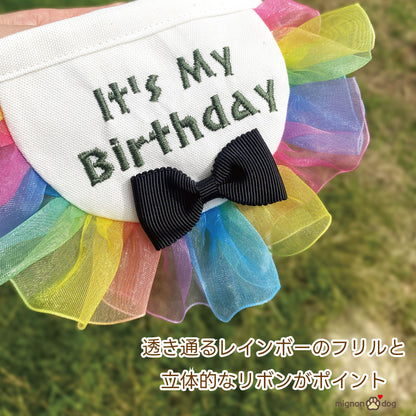 犬用バースデースタイ｜誕生日フォト 小型犬