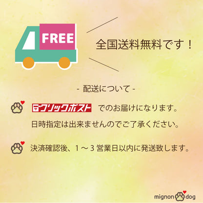 犬用バースデースタイ｜誕生日フォト 小型犬