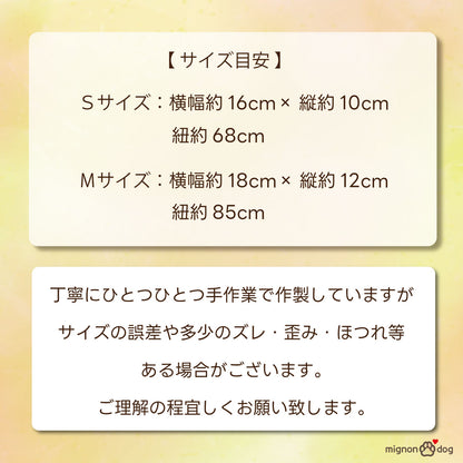 犬用バースデースタイ｜誕生日フォト 小型犬
