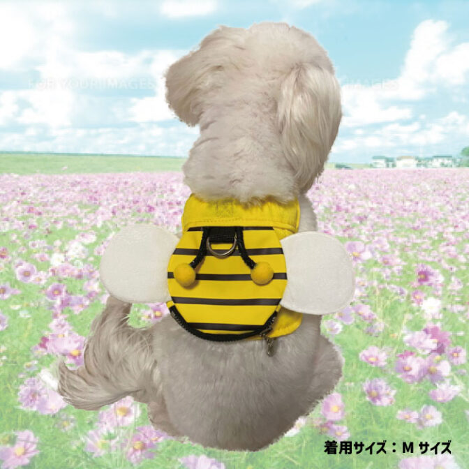 犬用ハーネスおしゃれでかわいいみつばち柄