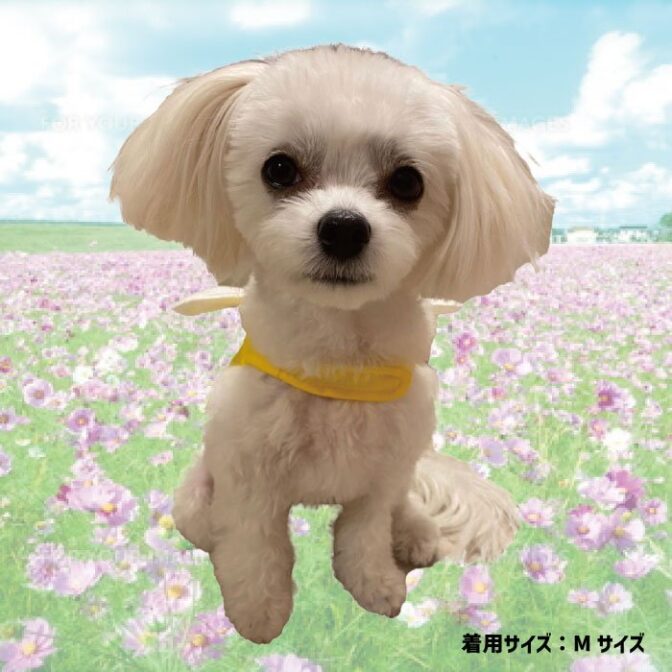 犬用ハーネスおしゃれでかわいいみつばち柄