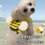 犬用ハーネスおしゃれでかわいいみつばち柄