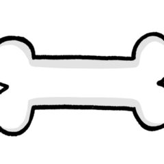 白色犬のフード事情