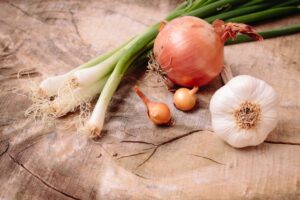 犬が食べると危険な食材であるネギ、ニンニク、玉ねぎ