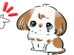 叱られている犬