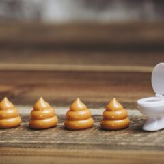 犬がうんちを食べる(食糞)原因と対処法をまとめて知りたい方必見！